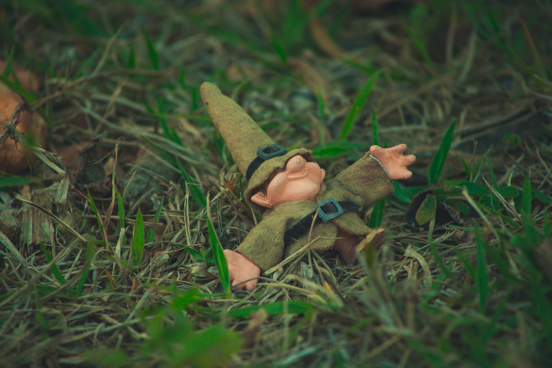 little dwarf doll lying in grass